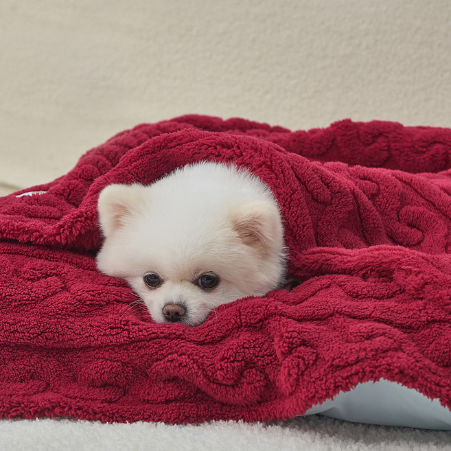 도그아이 반려동물 펫 꽈배기 담요, 버건디, 1개