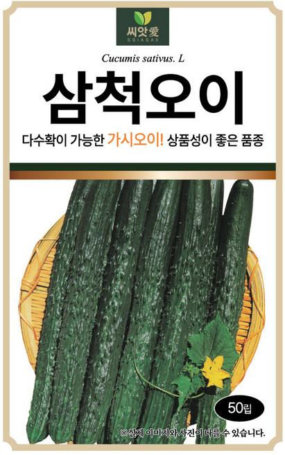 다농 씨앗애 삼척오이 씨앗 50p, 1개