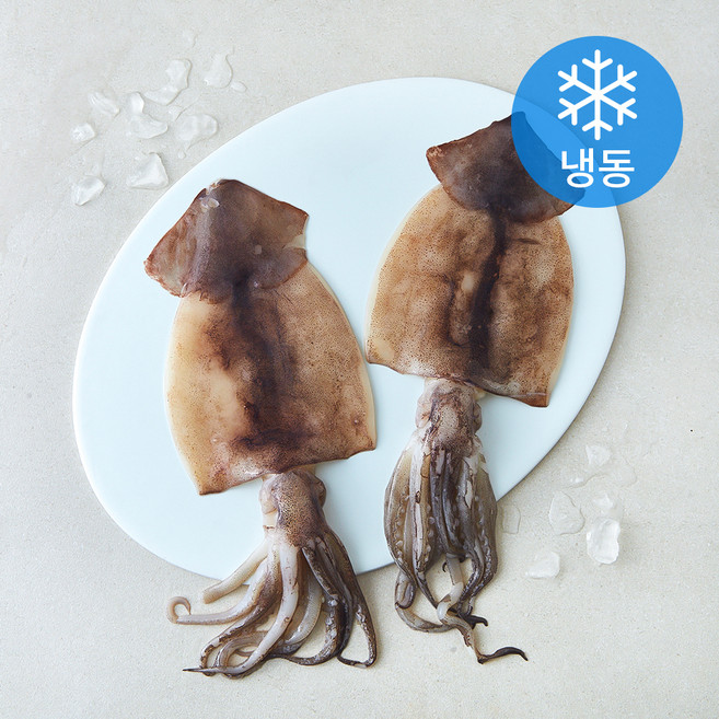비비수산 손질 간편한 오징어 (냉동), 1개, 350g