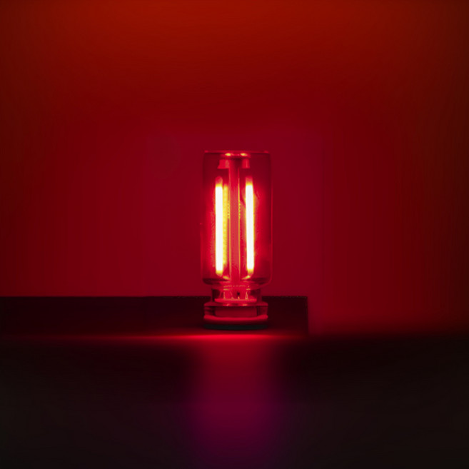 오토크루 차량 LED 유리관 로멘틱 USB 무드등 AC-L10, 레드, 1개