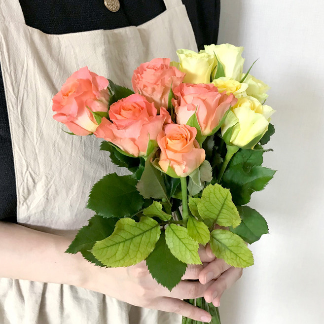 코코도르팜 생화 장미 2종 x 5대 세트, 옐로우, 오렌지