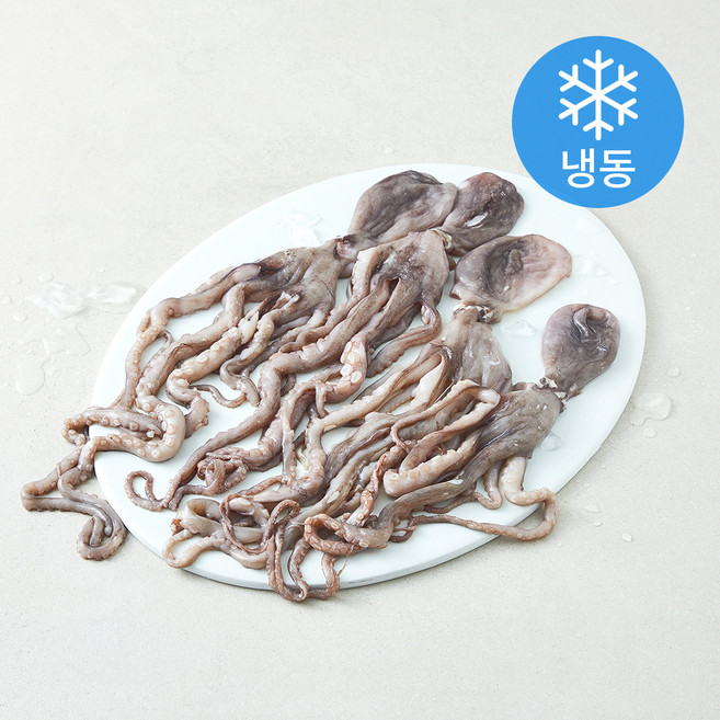 일품 간편한 손질 낙지 (냉동), 1개, 400g(4미)