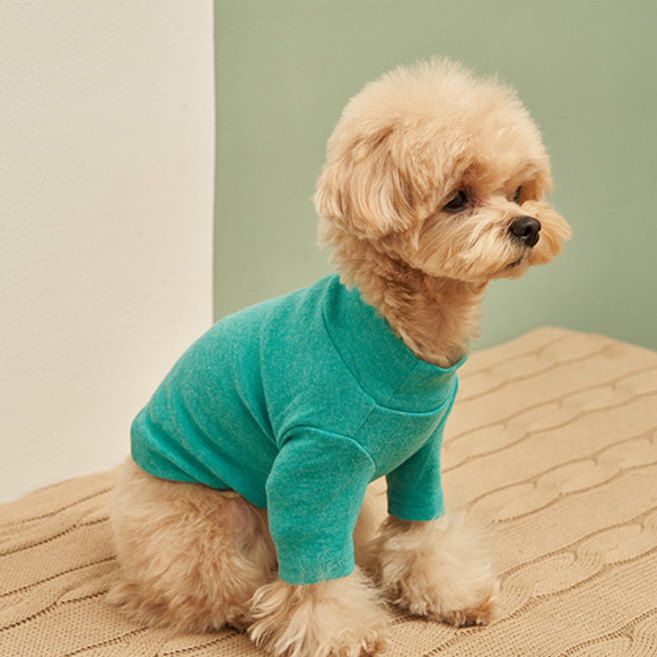 쁘띠도그 반려동물 베이직폴라 티셔츠 DT022, 민트, 1개