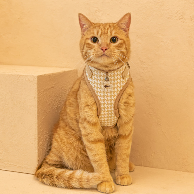 캐츠피아 고양이 마우저 슈페리어 사이즈 조절 하네스 A형 CAXA-HA9516, 베이지, 1개