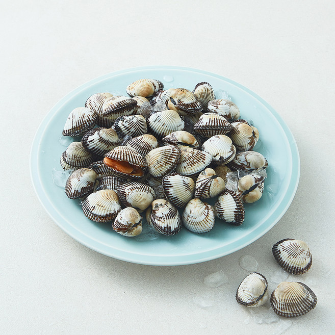 아라보감 여수 생물 새꼬막 (냉장), 1개, 500g