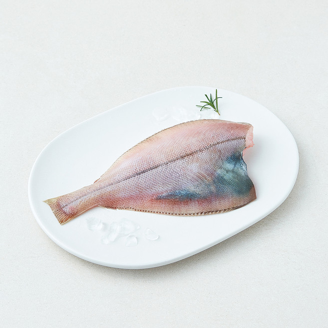 미감어보 국내산 손질 효온처리 생물 가자미 (냉장), 1개, 180g