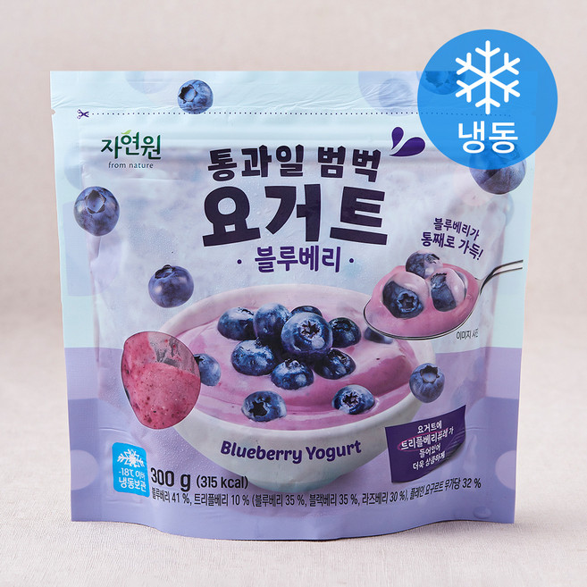 자연원 통과일 범벅 요거트 블루베리 (냉동), 300g, 1개입, 1개