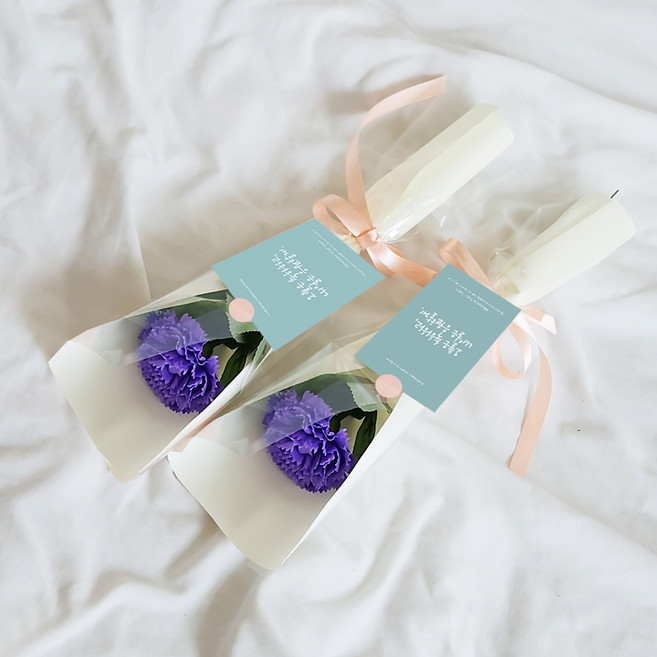 아스파시아 메시지 2p + 조화 플르 카네이션 한송이 비누 꽃다발 2p 세트 오늘은 축하하고 내일은 응원할게, 퍼플, 2개