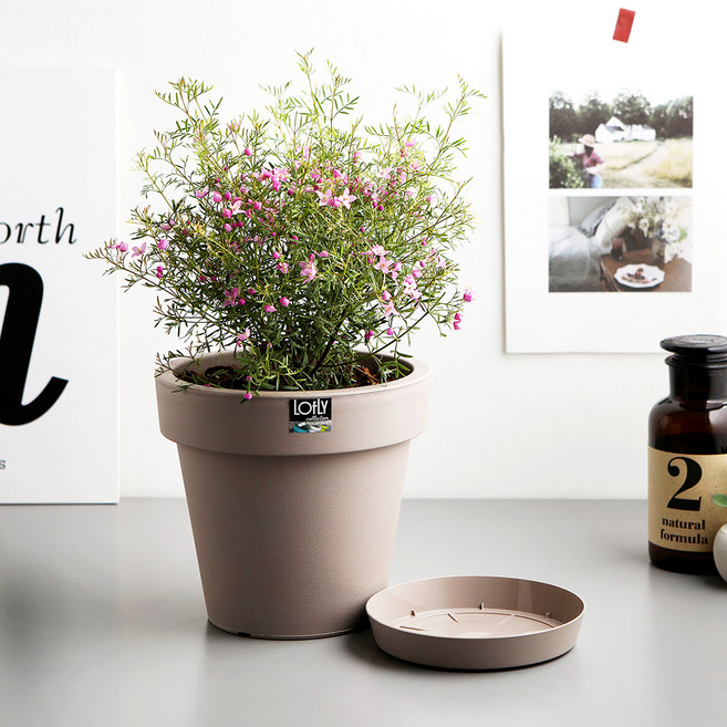 폴란드 플라스틱 화분, 모카, 2개