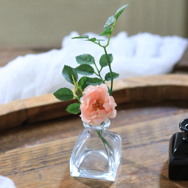 센트바스켓 미니 볼륨 화병, 투명