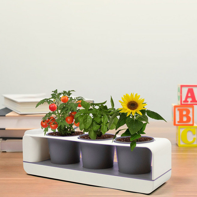 취미의품격그린썸 그로우팟 3종 방울토마토 + 해바라기 + 스위트바질 + 저면관수 스마트화분 세트