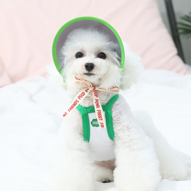 오드펫 또또또친구들 썬캡, 그린, 1개