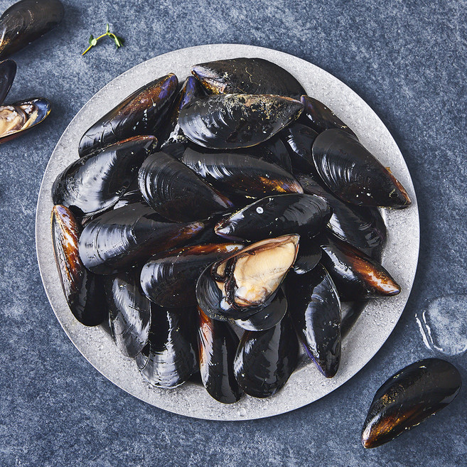 아라보감 산지직송 생물 홍합 (냉장), 1개, 1kg