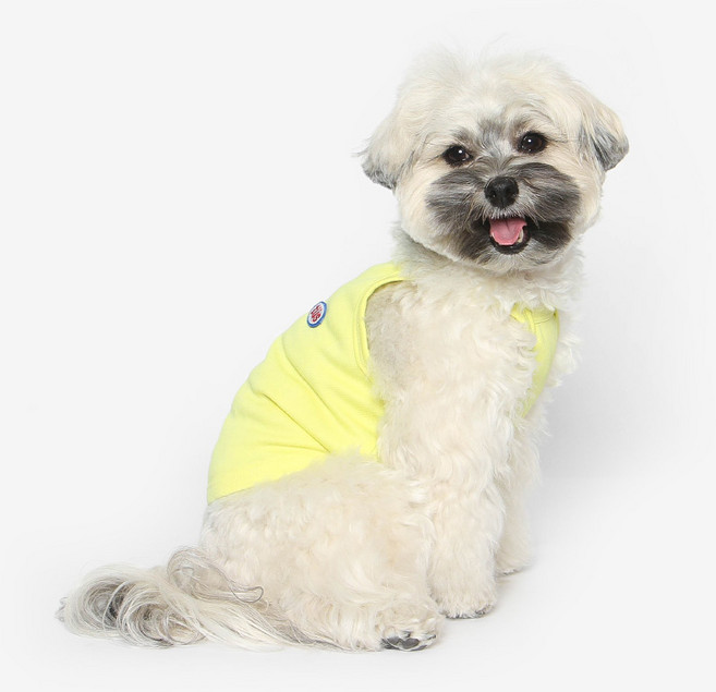 투스투스 반려동물 쿨나시 티셔츠, 레몬, 1개