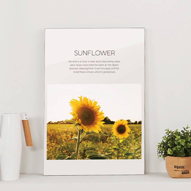 솔로리빙 액자테이블 해바라기들판 M, 화이트