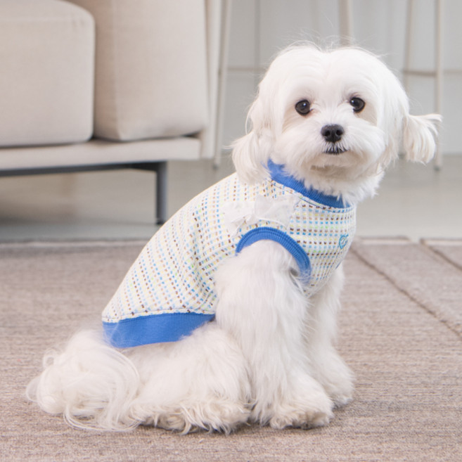 핑카홀릭 반려동물 마농 레이스 민소 티셔츠 NAXA-TS7744, 블루, 1개