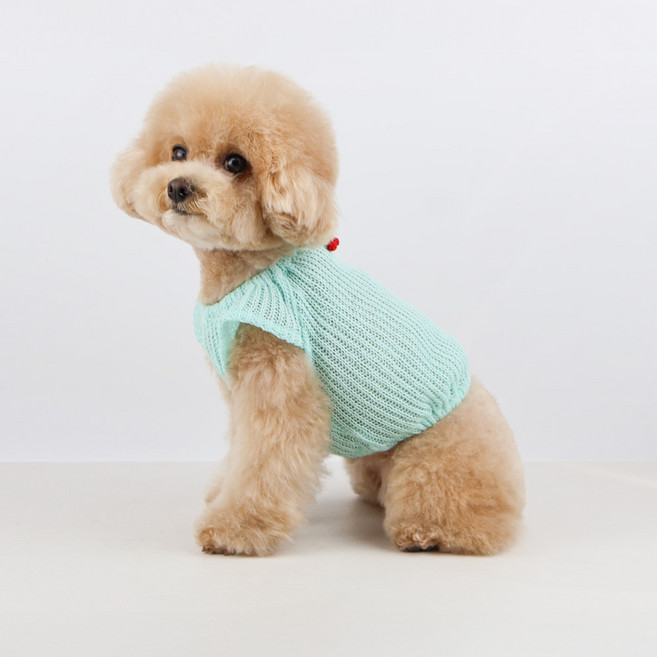 그루밍독 강아지 마카롱 시스루 니트, MINT, 1개