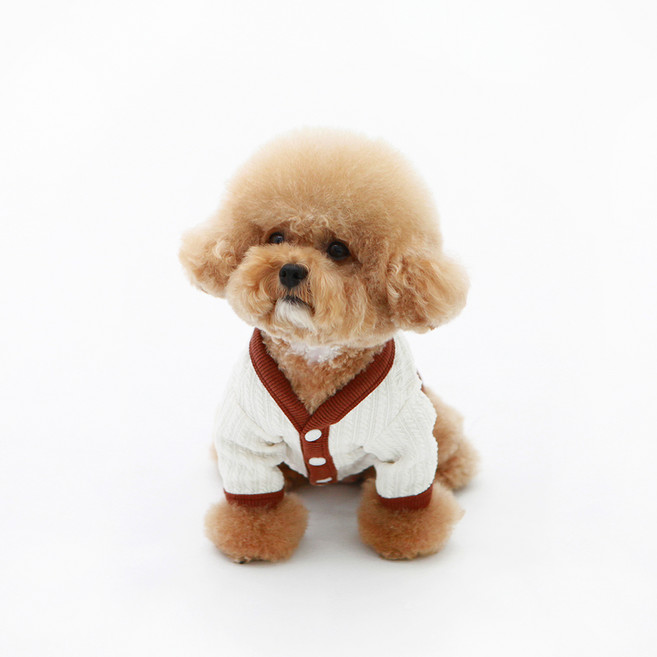 키니키니 강아지 트위스트 로고 가디건, 아이보리, 1개