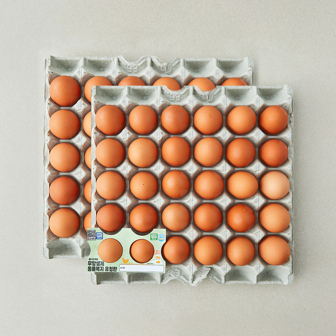 조인 동물복지 인증 무항생제 유정란 3.12kg, 1개, 60구
