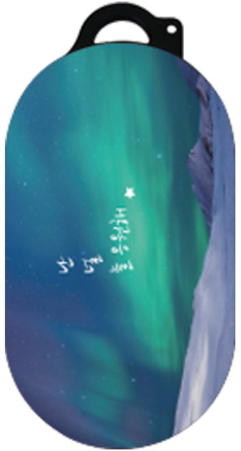 단부리 띵언 버즈 / 버즈플러스 하드 케이스, 응원