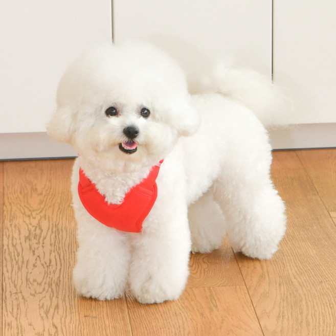 올치 반려동물 심쿵 하트 하네스 HH6605, 레드, 1개