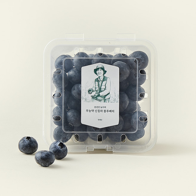 문선진 농부의 무농약 신칠라 블루베리, 100g, 1개