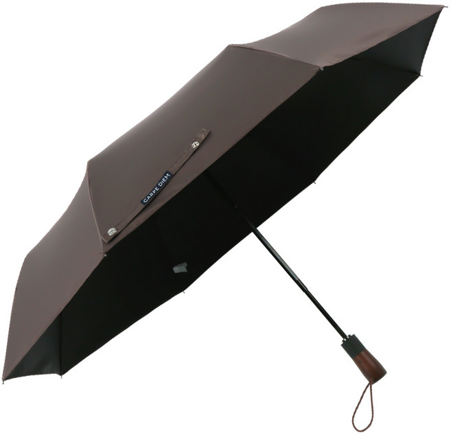 카르페디엠 58 암막 3단자동우산