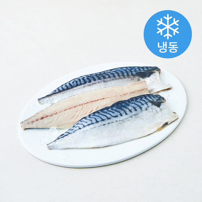 바다찬찬 노르웨이 통통 고등어살 (냉동), 800g, 1개