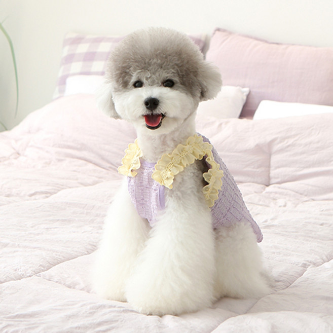 이츠독 강아지 후르츠 샤베트 나시티, 포도, 1개