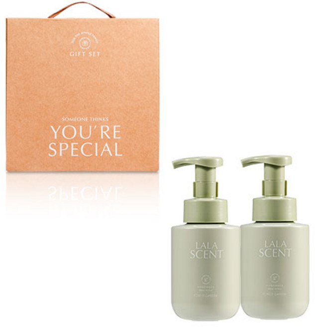 라라앤모어 핸드워시 답례품 300ml 2p + 기프트 상자 선물 세트, 그린, 1개
