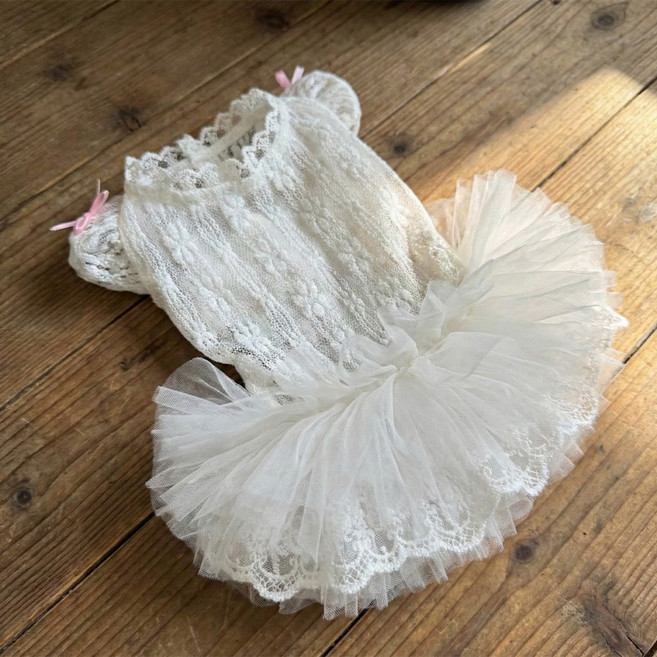 웨이비데이즈 반려동물 시스루 플라워 자수 프릴 드레스 W265-0103W, 화이트(W265-0103WS), 1개