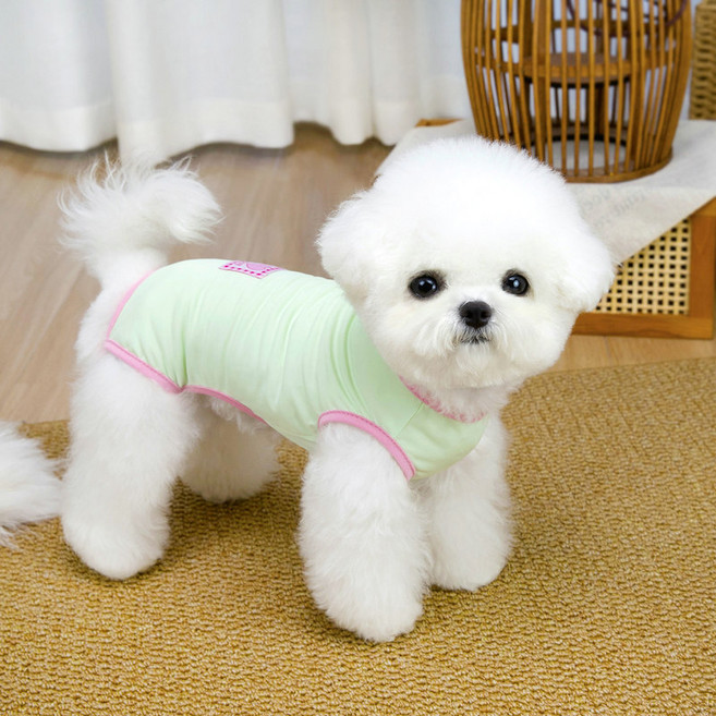 파스텔펫 반려동물 러브 라인 올인원, 그린, 1개