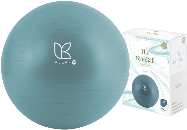 ALEAF 防爆健身球, 深青色
