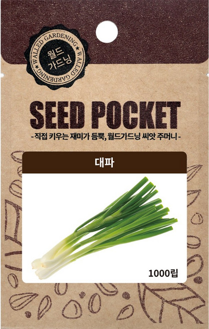 월드가드닝 대파 씨앗, 1개