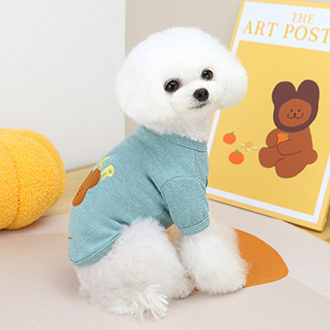 딩동펫 반려동물 데일리 애플베어 티셔츠, 민트, 1개