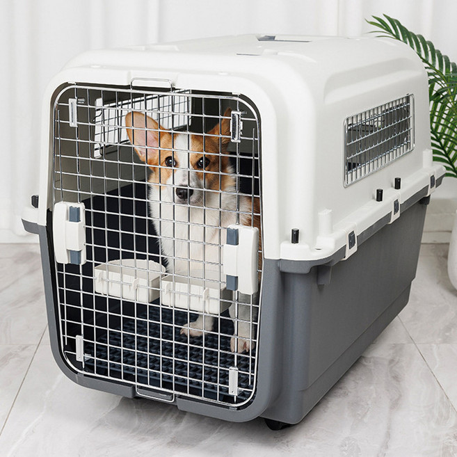 반려동물 꾸안꾸 켄넬 하드캐리어 3호, 혼합색상, 1개