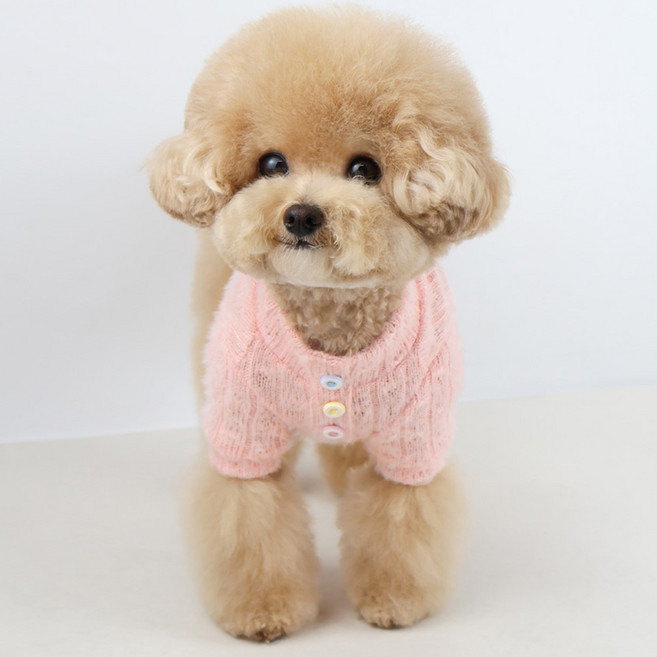 그루밍독 반려동물 옷 젤리단추 니트, 핑크, 1개