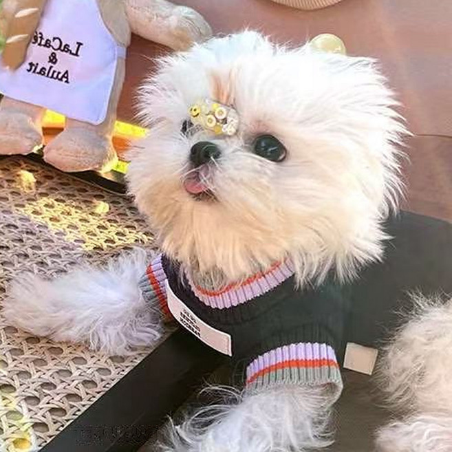 레드퍼피 반려동물 케이블 니트 조끼, 다크블루, 1개