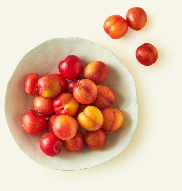 당찬 꼬마 자두, 1개, 1kg