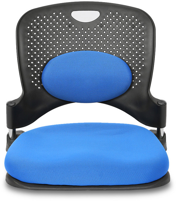체어포커스 지니 메쉬원단 좌식의자 허리쿠션형 GN102, 블루