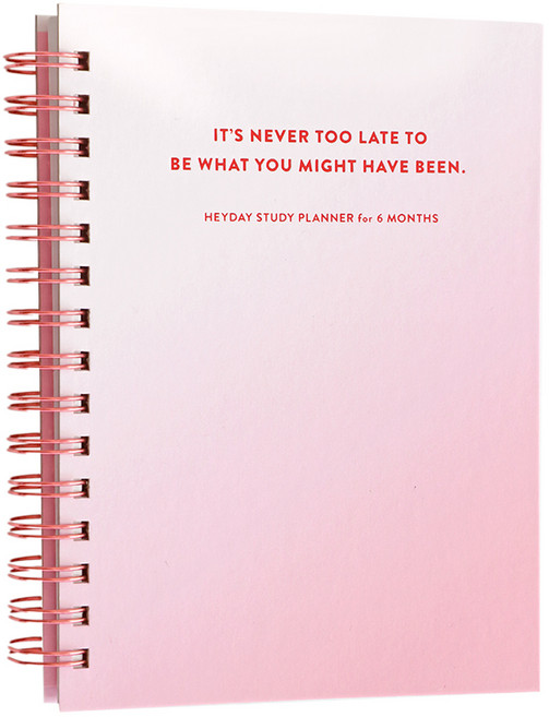 아이코닉 헤이데이 스터디 플래너 6개월, Pink, 1개