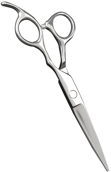 생활공식 홈케어 헤어 미용가위, 실버, 1개