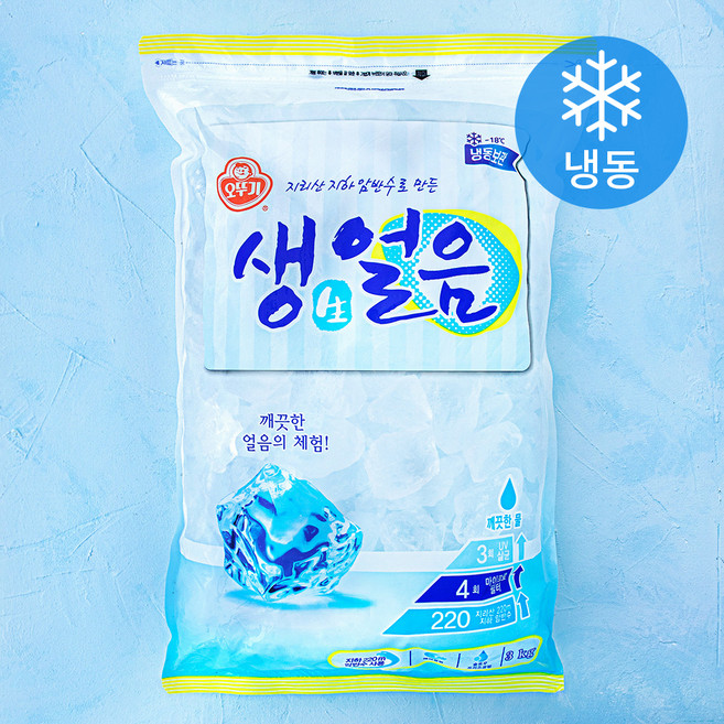오뚜기 생얼음 (냉동), 3kg, 1개