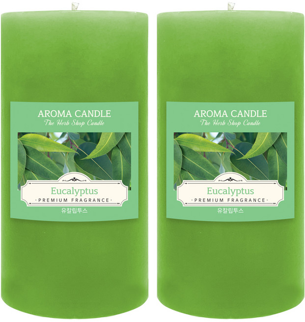 더허브샵 아로마 캔들, 유칼립투스, 570g, 2개