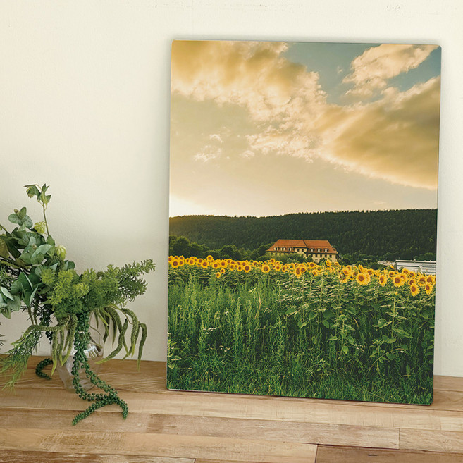 오홀리브 액자테이블, 36 해바라기와 집