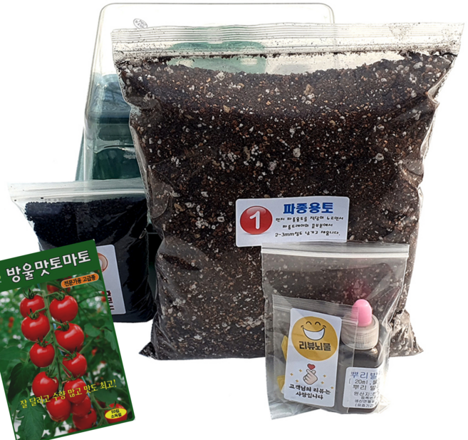 하늘e정원 키트 텃밭 씨앗 10립, 방울토마토