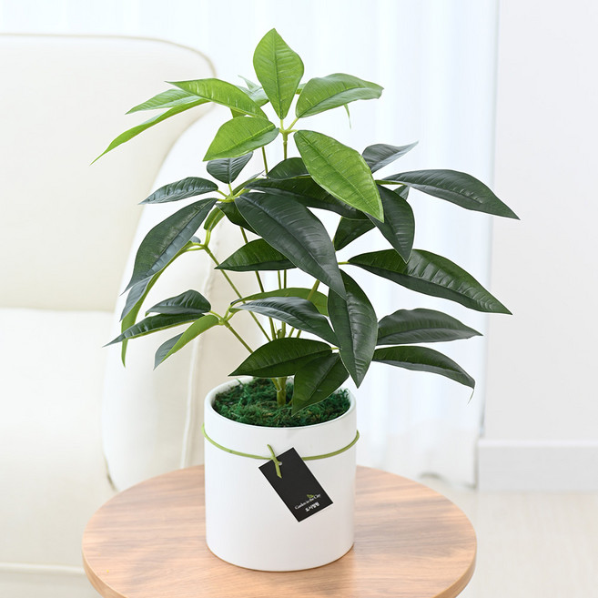 Garden in the City 人造龜背芋盆栽 大, 1個, 混合色