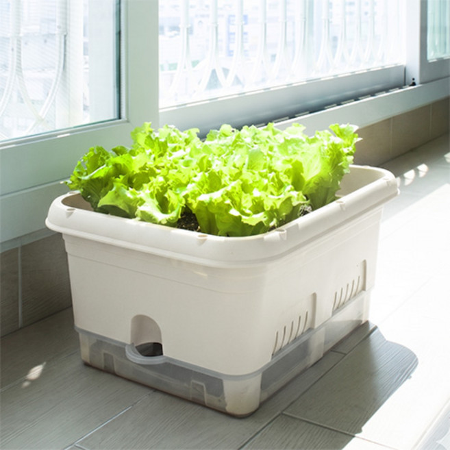 EZLIVING 我家菜園花盆 30L