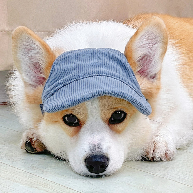 PASTEL PET 寵物彩色燈芯絨棒球帽, 1個, 藍色