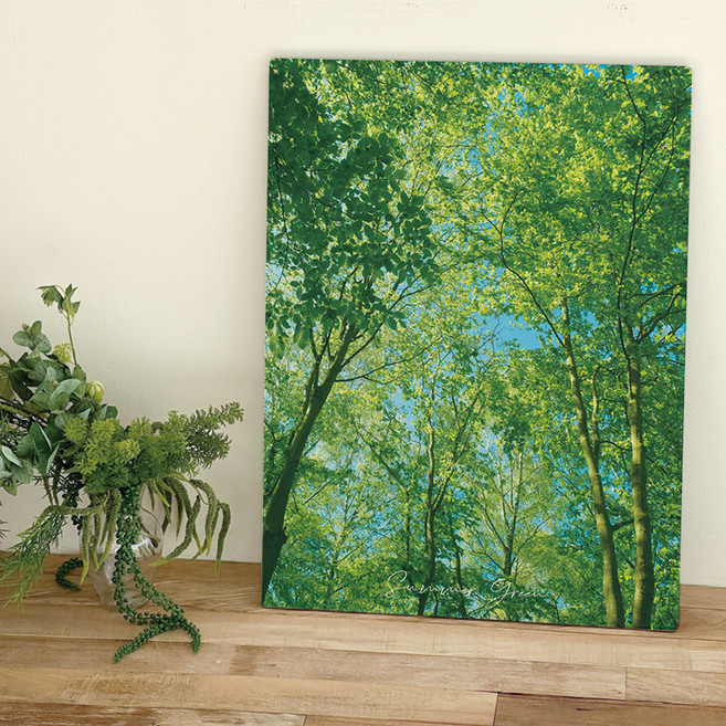 오홀리브 손잡이 액자테이블, 24 에버그린